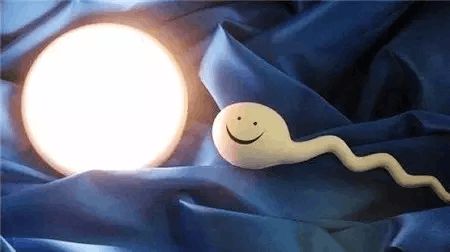 专业孕妈供卵助孕包生儿子